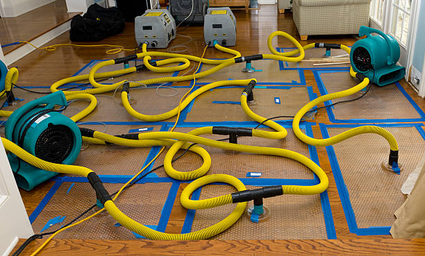 Professional Sewage Cleanup technician working in Rosenberg, TX